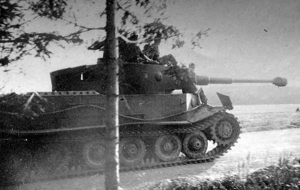 View 9 of Tiger I (P)