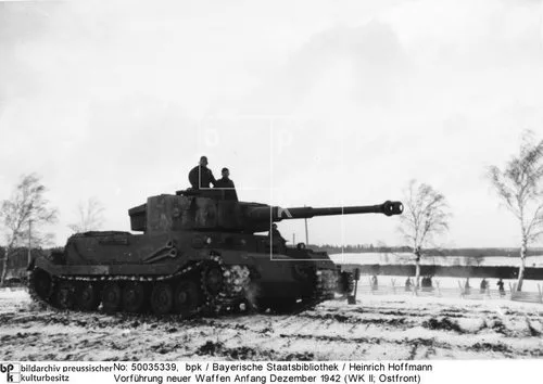 View 10 of Tiger I (P)