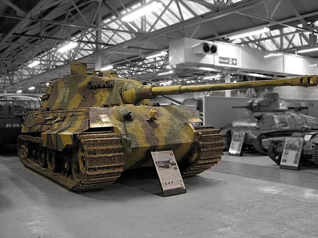 View 10 of King Tiger