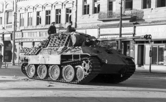 View 24 of Panzer Ausf. A (damaged)